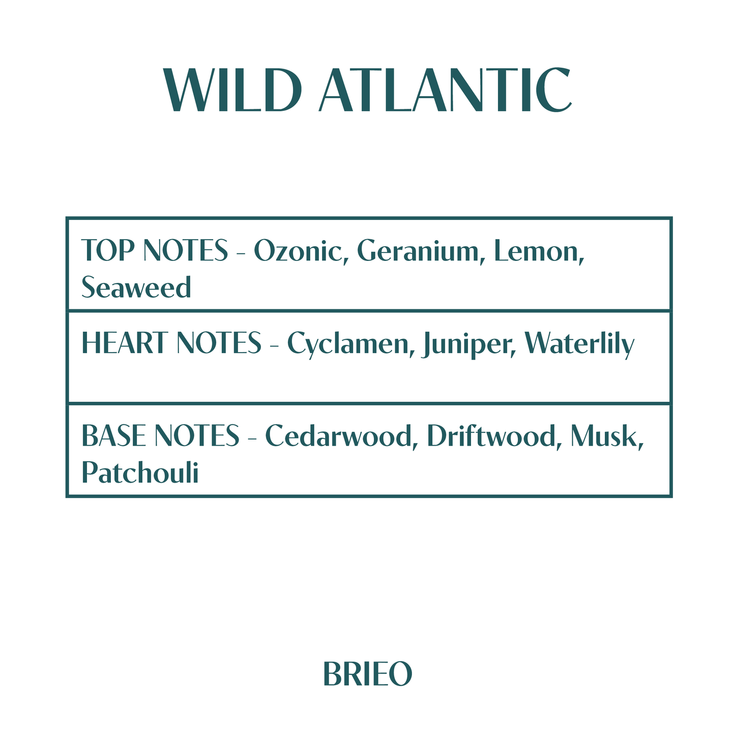 Wild Atlantic - 235g Candle